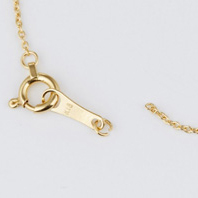 切れたネックレス